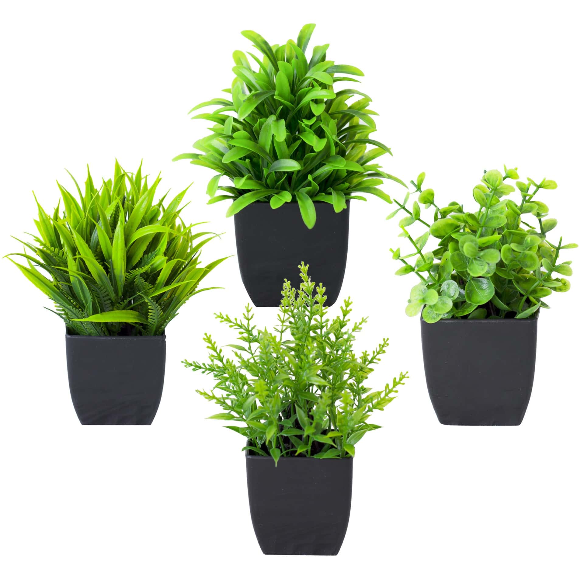 Home Office Layout - 1 Stück Realistische Mini-Eukalyptus-Topfpflanze mit Schwarzem