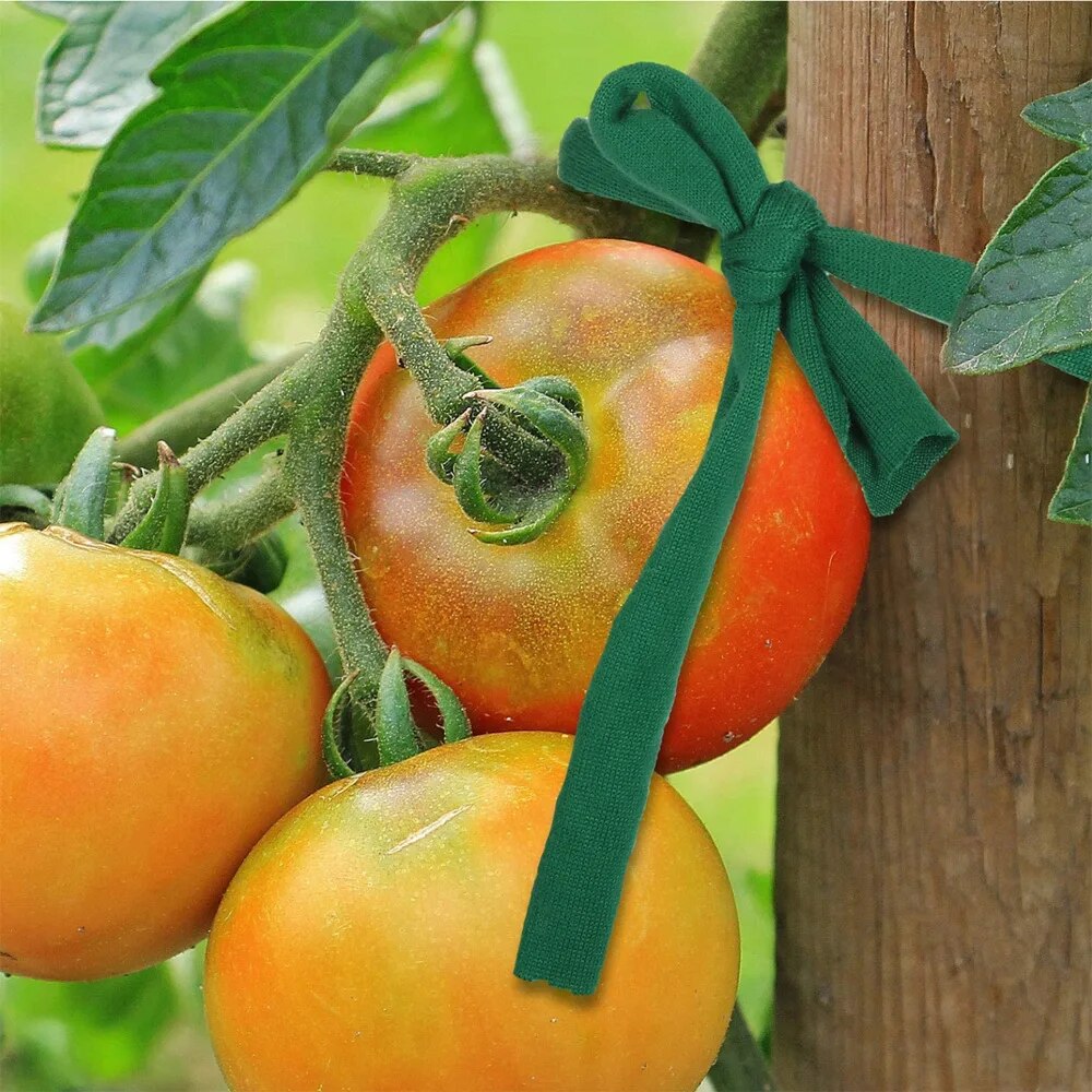 1 Stück grüner Gartenseil-Stof – Home Office Layout Bewertung und Preis